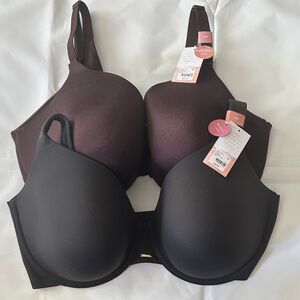 🥳 2 Lane Bryant Cacique 40F Bras. Brown/Black